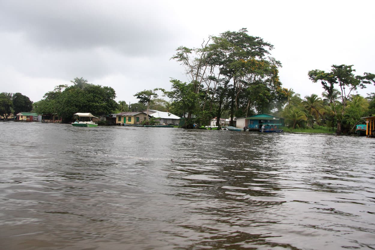 Tortuguero