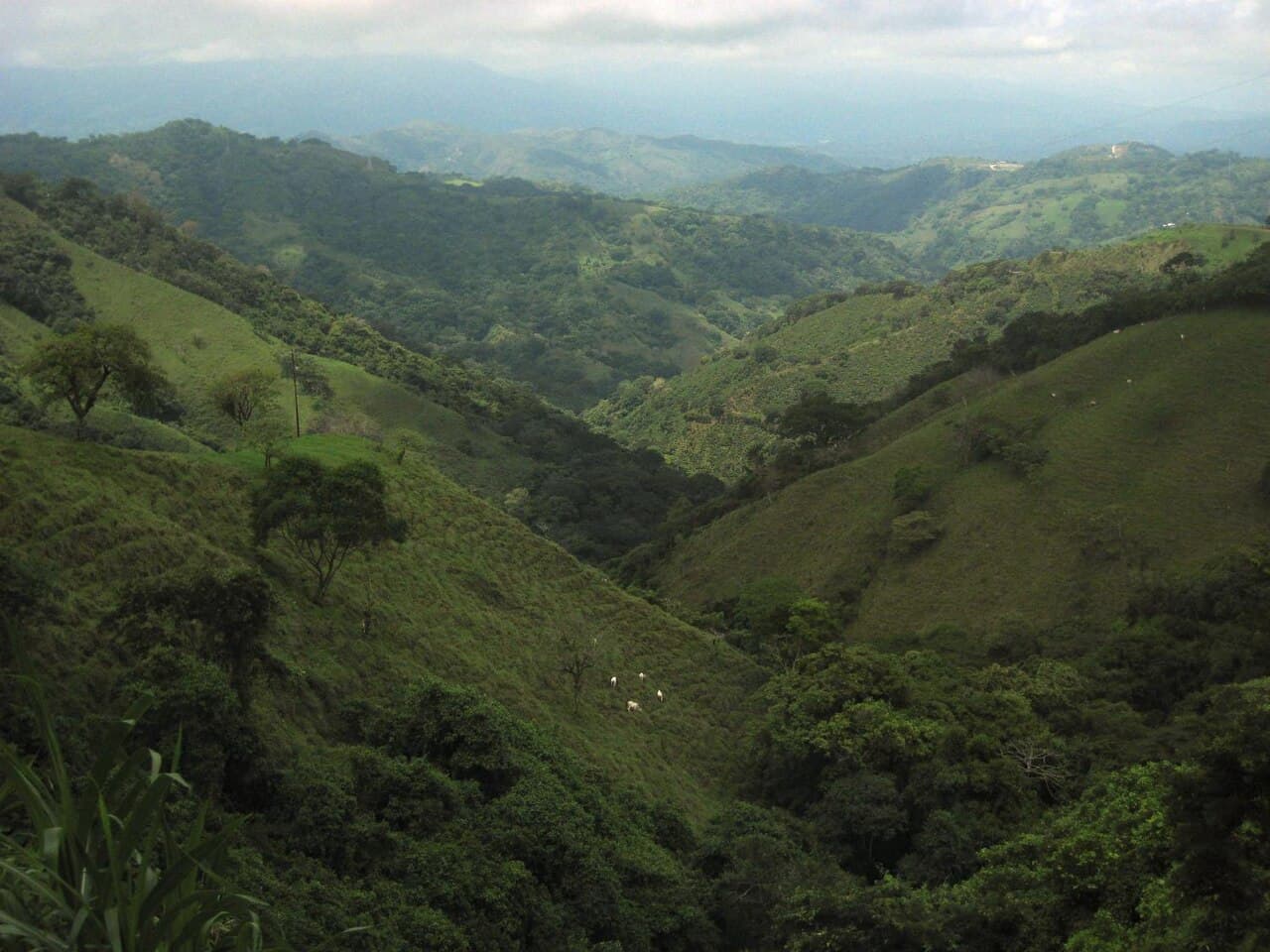 Turrialba